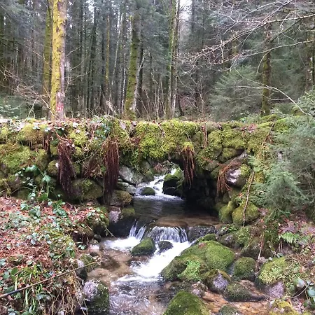 Chez Marguerite Au Menil Jardin Terrasse * Le Menil