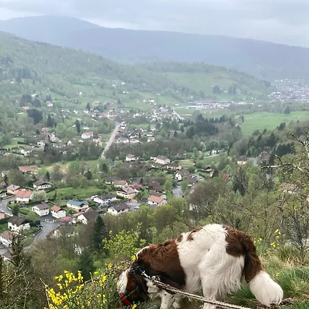 Chez Marguerite Au Menil Jardin Terrasse Holiday home Le Menil