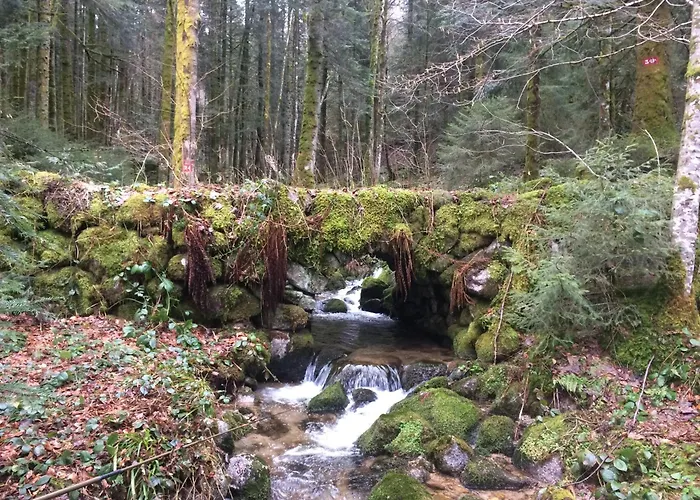 Chez Marguerite Au Menil Jardin Terrasse * Le Menil