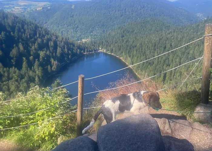 Holiday home Chez Marguerite Au Menil Jardin Terrasse *