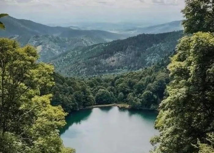 Chez Marguerite Au Menil Jardin Terrasse * Le Menil
