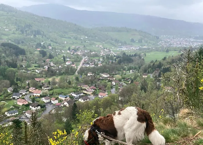Chez Marguerite Au Menil Jardin Terrasse Holiday home Le Menil