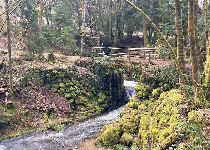 Holiday home Chez Marguerite Au Menil Jardin Terrasse Le Menil